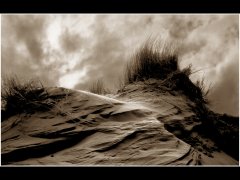 Birkdale Dunes.jpg